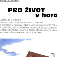 DZ1.jpg